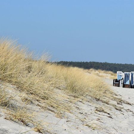 Ferienwohnungen Am Bernsteinweg Prerow Exterior foto