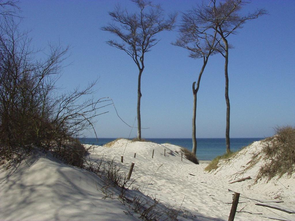 Ferienwohnungen Am Bernsteinweg Prerow Exterior foto